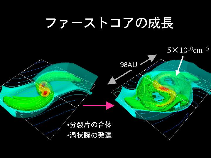 ファーストコアの成長